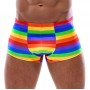 Men's Boxer Briefs Rainbow M