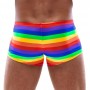 Men's Boxer Briefs Rainbow L