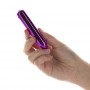 Powerbullet - bullet point 4 inch 10 functions purple