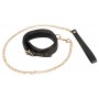 Leather collar and leash gold