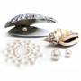 Украшение на грудь «mimi-pearl» от компании bijoux indiscrets, цвет серебристый, размер os
