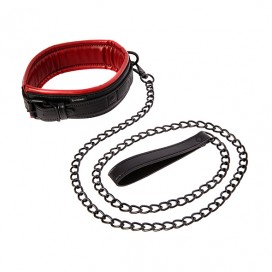 Sportsheets - saffron leash & collar