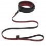 fifty shades of grey - sweet anticipation collar & lead
