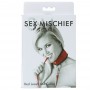 Sportsheets - Sex & Mischief Red Leash & Collar