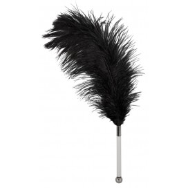 Feather black acrylic