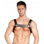 Leather chest harness