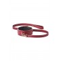 BLAZE ELITE COLLAR AND LEASH RED