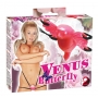 Venus Butterfly