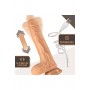 Realistlik vibraator/dildo munanditega 20cm - DR. SKIN