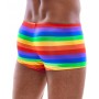 Men's Boxer Briefs Rainbow M