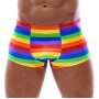 Men's Boxer Briefs Rainbow L