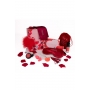 AMOUR THE HEARTS OF LOVE HAPPY HEART KIT