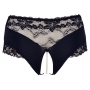 Pearl briefs black 4xl