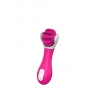 Kliitoristimulaatoriga vibraator - Dream Toys roosa