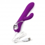 Vibrators venēra no loverspremium violēts