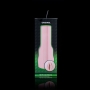 Fleshlight vagina