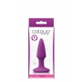 Colours pleasures mini plug purple