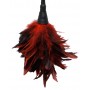 Red feather tickler - fetish fantasy series