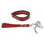 Leather collar and leash