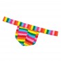 Rainbow mens thong