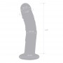 Glas - Curved Realistic Glass Dildo With Veins