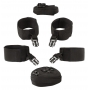 Bad Kitty Door &Bed Restraints