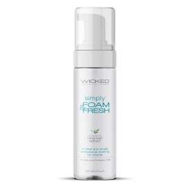WICKED SIMPLY FOAM & FRESH TOY CLEANER